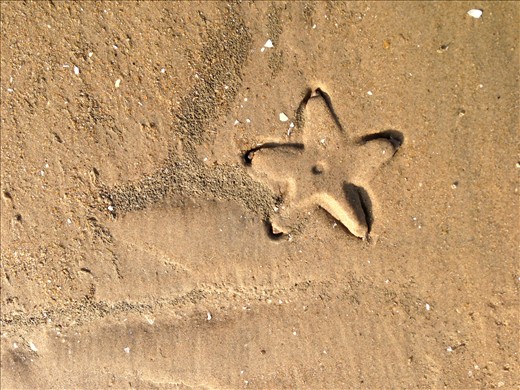 Nature's footprint:This picture was clicked when we were walking down the shore of Bay of Bengal where sea and starfish left its mark on the clear sand beach of Mandarmani. Surprisingly the star fish and water passed away leaving behind a clear mark on the sand a beauty in itself. This gave me an idea to keep this picture as a background calender for 2014.