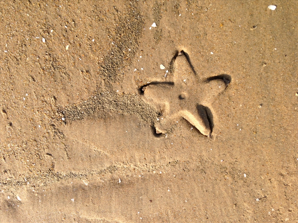 Nature's footprint:This picture was clicked when we were walking down the shore of Bay of Bengal where sea and starfish left its mark on the clear sand beach of Mandarmani. Surprisingly the star fish and water passed away leaving behind a clear mark on the sand a beauty in itself. This gave me an idea to keep this picture as a background calender for 2014.