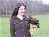 Falconry class! Me with beautiful Harris Hawk. : by karen_rebecca, Views[262]