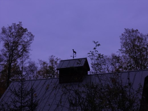 Weather vane on my way to early morning hike.