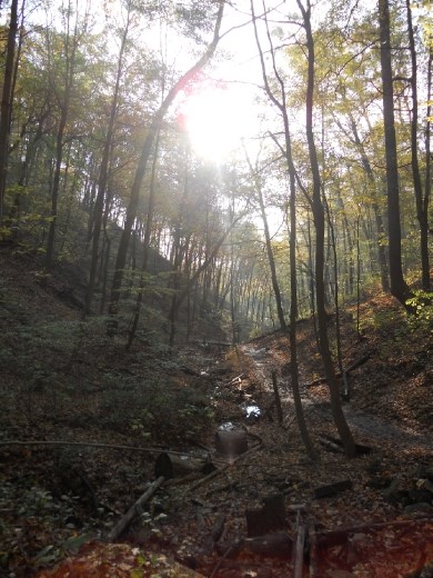 The way up from the river, after my grand adventure.