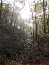 The way up from the river, after my grand adventure.: by karen_rebecca, Views[348]