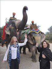 Elephant ride to tribal council: by karenleslieburns, Views[456]