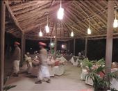 Survivor India?: by karenleslieburns, Views[179]