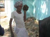 man carrying cow dung to patch up his wall: by karenleslieburns, Views[255]