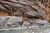 Hiking is done upstream in the Virgin River as there is no formal trail.: by karenmcclintock, Views[232]
