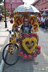 by karliennerja, Views[577]