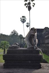 by karliennerja, Views[147]