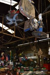 by karliennerja, Views[142]