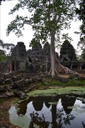 by karliennerja, Views[179]