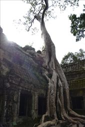 by karliennerja, Views[133]