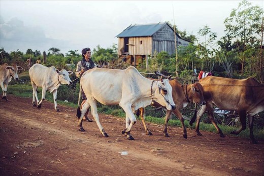 The house where the recipe was born