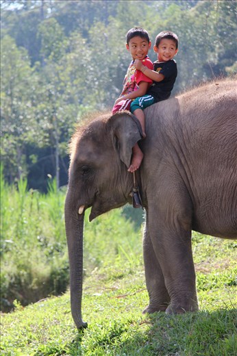 Growing up in the Kingdom of Siam, Chiang Mai.