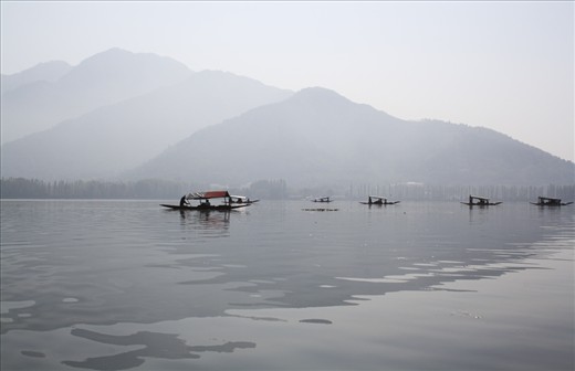 Morning at Dal Lake