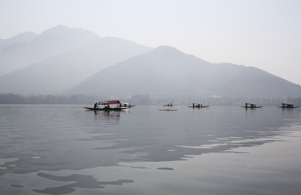 Morning at Dal Lake