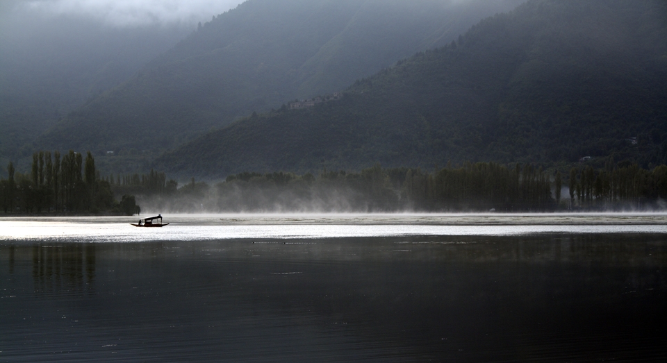 Pristine dawn at Dal Lake