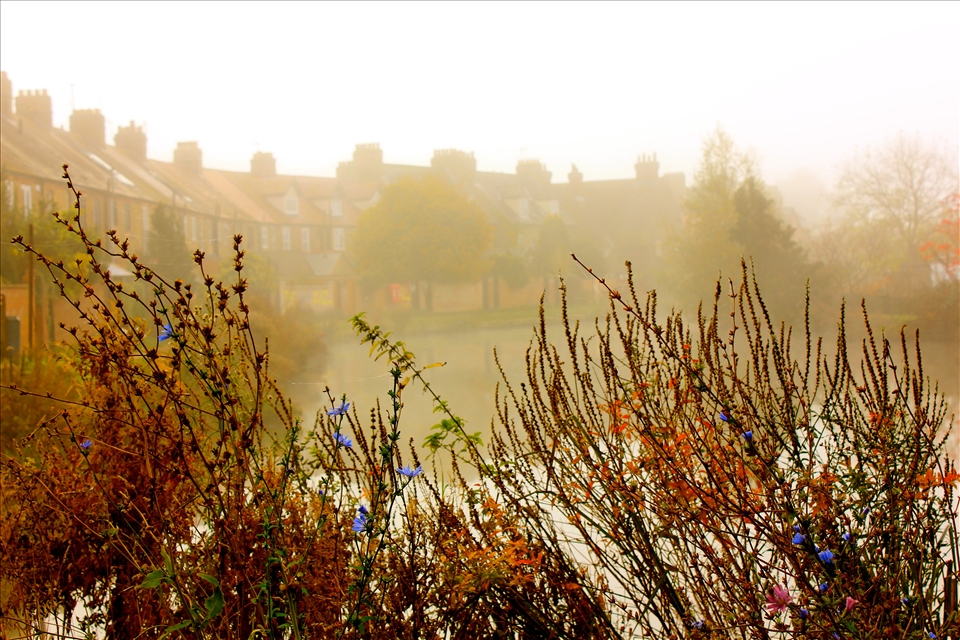 Somewhere between the abandoned Godstow Abbey and the train station is a footpath. Judging by the number of bikes a hiker must avoid being flattened by, it might be called a repurposed highway. 
A student tells me that Lewis Carroll went picnicking with Alice in wonderland along this path.
Godstow Abbey, the burial place of Henry II's famed mistress Rosamund Clifford, was repossessed by Oxford University back in the 1920s. After it was damaged by the Civil War, locals looted its stone. The surrounding area is alleged to be haunted. On a day like this, in the fog, it seems like less of a fiction.
Today the footpath snakes along the Thames River behind a row of quiet terraced houses to nowhere in particular. I decided to follow it.