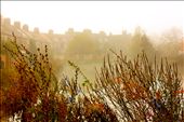 Somewhere between the abandoned Godstow Abbey and the train station is a footpath. Judging by the number of bikes a hiker must avoid being flattened by, it might be called a repurposed highway. 
A student tells me that Lewis Carroll went picnicking with Alice in wonderland along this path.
Godstow Abbey, the burial place of Henry II's famed mistress Rosamund Clifford, was repossessed by Oxford University back in the 1920s. After it was damaged by the Civil War, locals looted its stone. The surrounding area is alleged to be haunted. On a day like this, in the fog, it seems like less of a fiction.
Today the footpath snakes along the Thames River behind a row of quiet terraced houses to nowhere in particular. I decided to follow it.: by karyn_p, Views[348]