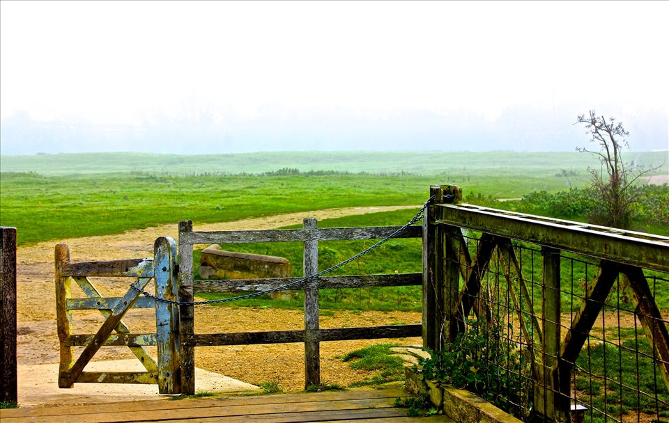 The path opens up to a clearing, bookended by a lock and a viaduct. Just over the bridge is an enormous expanse of land. Legend has it that Alfred the Great bestowed this pasture (today, Port Meadow) on the Freeman of Oxford as a war spoil. Nearly nine hundred years after the Domesday Book, wild horses still graze in the fog. I clatter over the bridge, open the gate, and go in.