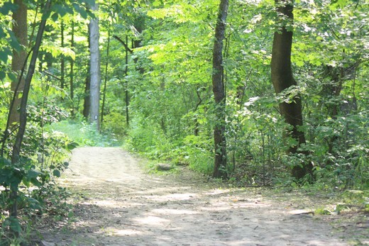 About to enter the Bruce Trail up on Queenston Heights