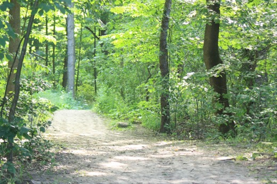 About to enter the Bruce Trail up on Queenston Heights