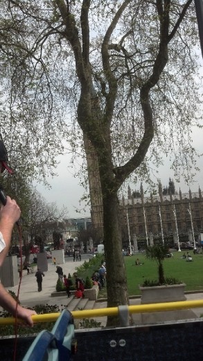 A university (London)