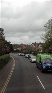 on the double decker to Stone Hedge (salisbury): by kate_holla86, Views[92]