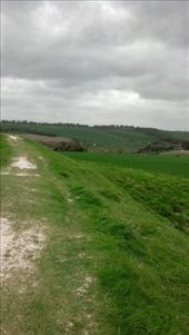 by kate_holla86, Views[88]