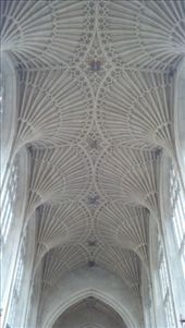 by kate_holla86, Views[94]