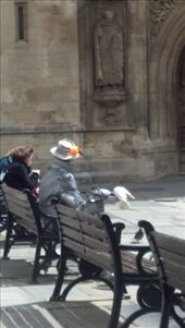 by kate_holla86, Views[94]