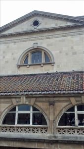 by kate_holla86, Views[120]