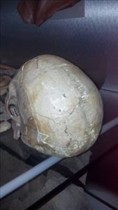 by kate_holla86, Views[99]