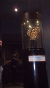 by kate_holla86, Views[110]