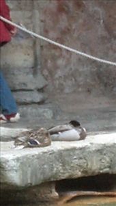 by kate_holla86, Views[112]