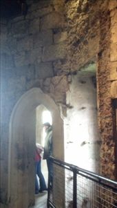 by kate_holla86, Views[93]