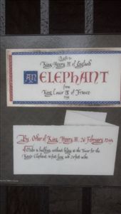 by kate_holla86, Views[85]