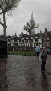 by kate_holla86, Views[124]