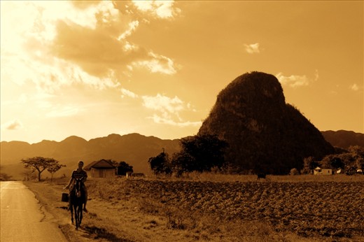 Farmhouse bound by horseback in the tobacco plantation town of Viñales 