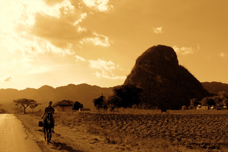 Farmhouse bound by horseback in the tobacco plantation town of Viñales 