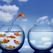 by katecarlson, Views[411]