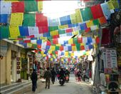 by katecarlson, Views[241]