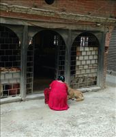 by katecarlson, Views[235]