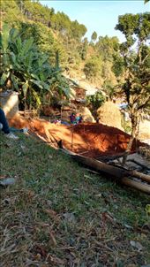 by katecarlson, Views[328]