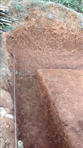 by katecarlson, Views[373]