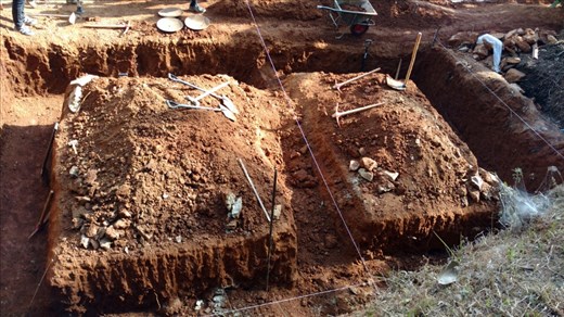 Digging... In the trenches