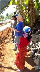 by katecarlson, Views[486]