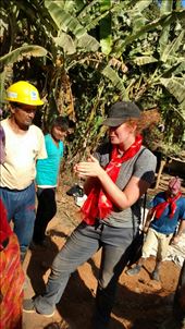 by katecarlson, Views[326]