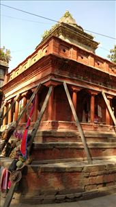 by katecarlson, Views[526]