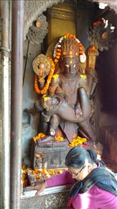 by katecarlson, Views[312]