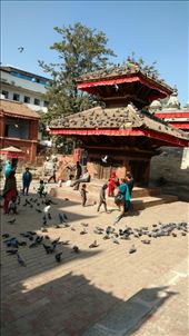 by katecarlson, Views[487]